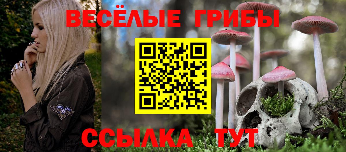 Псилоцибиновые грибы ЛСД  Вход с VPN  Новомосковск 