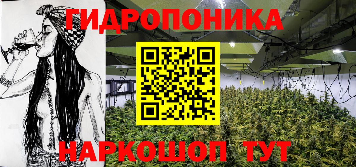 Шишки марихуана семена Новомосковск